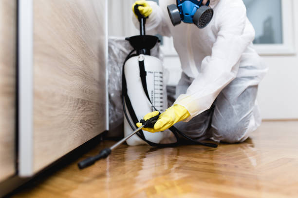 Flea Control Services in Lake Don Pedro, CA