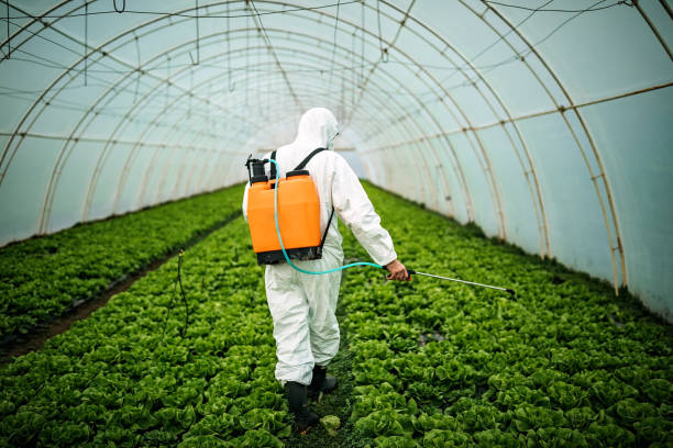 Best Pest Prevention Services  in Lake Don Pedro, CA