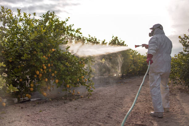 Best Best Pest Control Companies  in Lake Don Pedro, CA