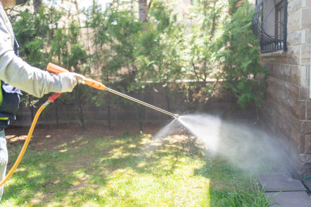 Best Flea Control Services  in Lake Don Pedro, CA