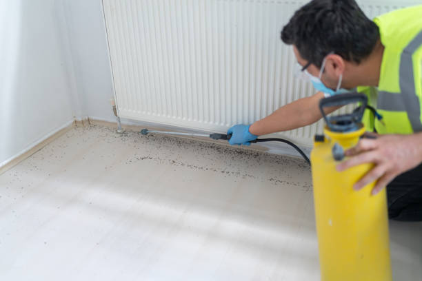 Pest Prevention Services in Lake Don Pedro, CA